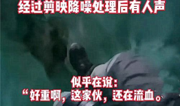 宜宾正能量爆料事件视频